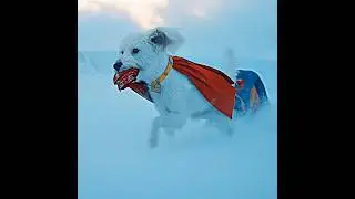 Krypto The Super 🐕 Dog - Superman 2025 Edit | Starly - EMIN ft. JONY - Каmin (Slowed + Reverb)