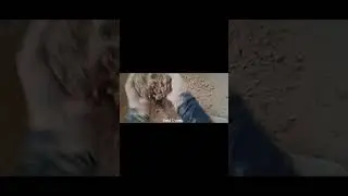pure mud play🤤🤤#puremud #floorplay #oddlysatisfying #sandcrumble #viralshorts #shorts