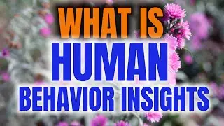 What Is Human Behavior Insight ?