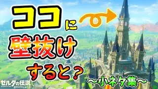 真正面ハグキ･厄ガノワープVSヴォーイ判定･ガマンくらべのやばいバグなど小ネタ集【ブレワイ BotW】裏技 バグ 検証 ゆっくり実況 glitch