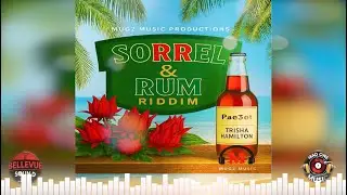 Sorrel & Rum Riddim Mix (Soca 2026) - Trisha Hamilton, Pae3ot | M.A.D. ONE Mix