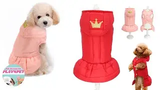 Dress for Girl Dogs 🐾 Yorkie Clothes
