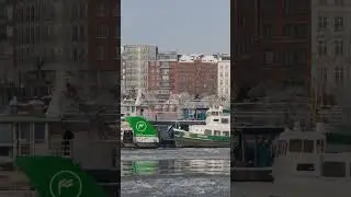🚢62 ➜ Fischmarkt → Landungsbrücken | HAMBURG ❄️ −8°C | 11.01.2026