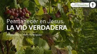 Permanecer En Jesus La Vid Verdadera | Nery Rodriguez