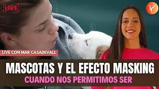 MASCOTAS Y EL EFECTO MASKING En esta nueva entrevista desde Espana con la Coach Mar Casadevall v
