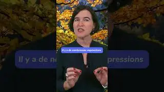 Le Blues de l'automne #frenchspeaking #frenchlearning #frenchlanguage #frenchguide #FLE #fran&ccedil;ais