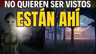 👽 El Misterio del GRAN SILENCIO: Hip&oacute;tesis del BOSQUE OSCURO 🌌&iquest;EST&Aacute;N AH&Iacute; Y NO QUIEREN SER VISTOS?