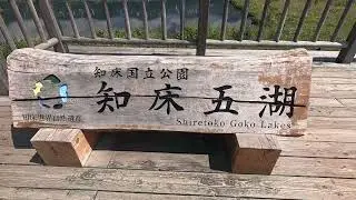 知床五 湖遊歩道2025年6月18日