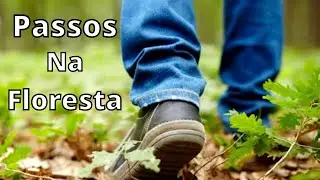 Passos - Ou&ccedil;a o Som de Passos na Floresta /Efeito Sonoro/step sound effect