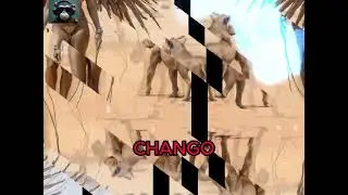 AFRO BITS CHANGO  DJ JOEL STUDIOS 614