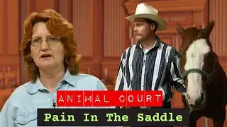 Animal Court | Pain In The Saddle