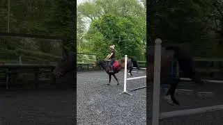 Erol jumping on angles 🚀First time jumping angles and he was flying! #horses #jumping #showjumping