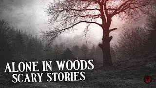 9 Historias Reales de Terror: Perdido y Solo en el Bosque... ¡Una Pesadilla Viva!