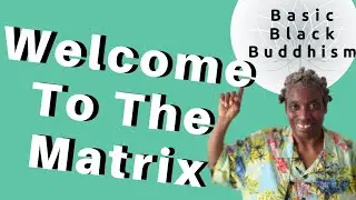 Basic Buddhism: Diligence - Welcome to the Matrix