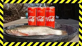 EXPERIMENT : Cats Eat Fried Fish in Coca Cola
