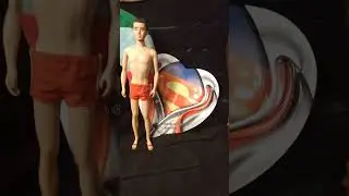 moondoggeez presents new addition to Ken Doll collection 1961 at home pocatello Idaho