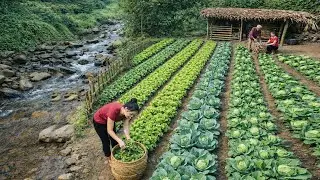 Complete the bamboo fence, take care of the vegetable garden in the forest with the kind old man.