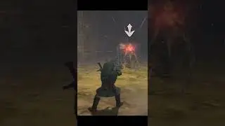 NEVER BEFORE BEATEN Twilight Princess Cave of Ordeals 3 Heart Run