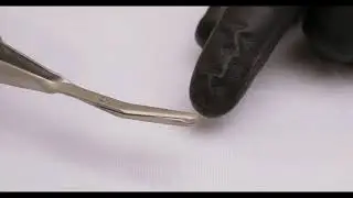 Laschal Suture Scissor Combo