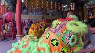 lion dance paying respect at peak nam tong temple after eye dotting 2026