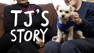 TJ to the Rescue | Battersea Stories