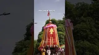 The Divine Celebrations of Sri Jagannath Ratha Yatra.