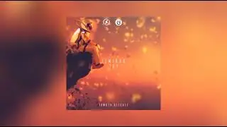 ZIMERKK - Joy