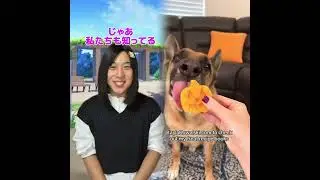 ショートビデオ（tomo_su1）解凍ビデオ