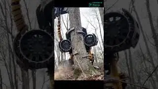 Fastest tree cutting equipment #shorts #lumbering #machinery