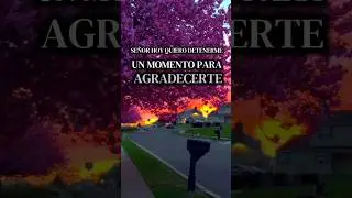 Agradecer a Dios por lo bueno y lo desafiante es un acto profundo de fe.💪🏿