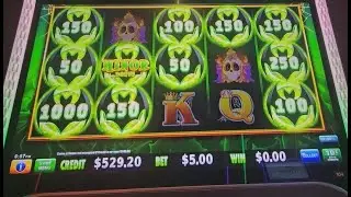 💲💲BIG WIN💲💲 🌟NEW MACHINE🌟 CATS, HATS 'N MORE BATS