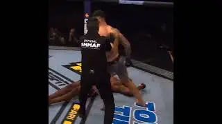 flying kick #shorts