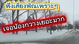 ฟังเสียงพิณม่วนๆ ถนนชนบทอเมริกาเจอน้องกวางเยอะมากๆ#เสียงพิณม่วนๆ #ถนนชนบทอเมริกา