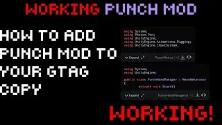 HOW TO ADD PUNCH MOD TO YOUR GTAG COPY
