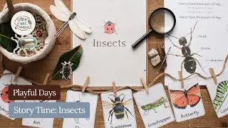 Playful Days Story Time: Insects