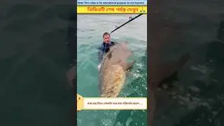 মাছ ধরার  বাজিতে লোকটি কী তার নাম পরিবর্তন করে দিল?😱,A Big Fish Caught, #shorts #fishing