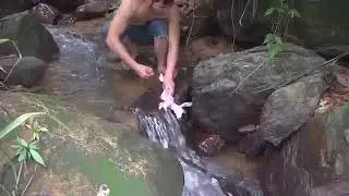 Head Wilderness تناول أرنب مخبوز في غابة مثل هذا أفضل بكثير من تناول الطعام في المطعم