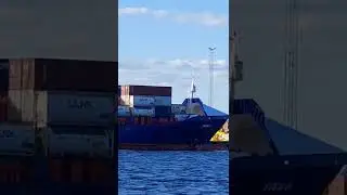 Containerskipet 
