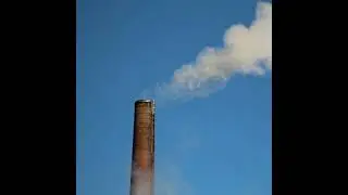 Is Market-based Climate Action Working for Canadians? with Brendan Haley