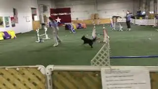 Maddy/Kiwi Camp
