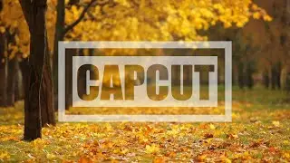 CapCut Text Intro