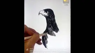 Draw an Eagle art tutorial LIVE Tiktok