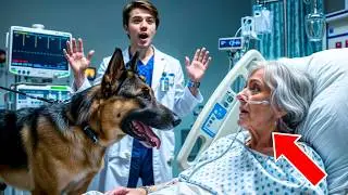 DOG PREVENTS OWNER FROM BEING TAKEN OFF LIFE SUPPORT. THE REASON WILL MAKE YOU CRY!