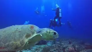 Force-E Scuba Centers will Take YOU diving