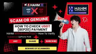 HAHM Payment Proofs Exposed! 💸 Fake USDT Wallets BUSTED | Verify HAHM Payments on BscScan 🔍