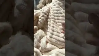 Cozy Bliss: Ultra Soft Blanket Perfection #blanket #fluffyblanket