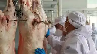 Factory Double Track Full Automated Goat Slaughter Machine Halal Slaughterhouse
