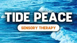 Ocean Waves Crashing and Calming Sounds || Autism Sensory Therapy