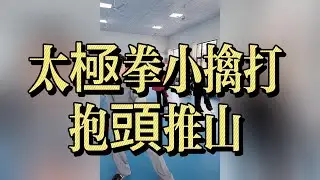 陳氏太極拳老架一路｜小擒打・抱頭推山｜身法擒拿與整體推勁教學#太極拳 #陳氏太極拳 #老架一路 #小擒打 #抱頭推山 #太極拳教學 #太極拳帶練 #內家拳 #擒拿 #發勁 #傳統武術