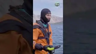 🦎 Собираем тритонов в самом глубоком озере Америки 🌊 #oregonfieldguide